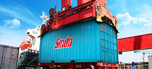 Distribusi Yang Profesional